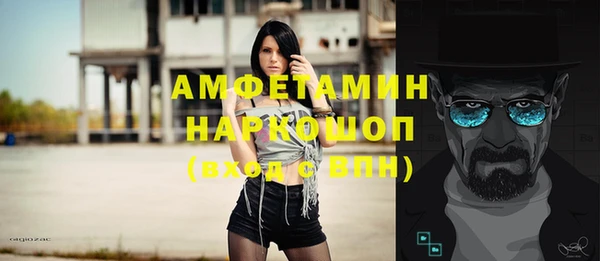 сатива Пересвет