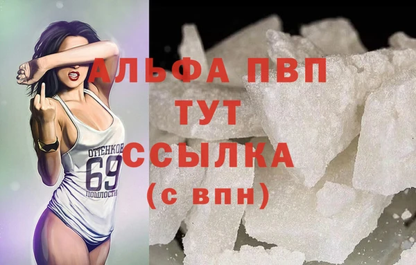 сатива Пересвет