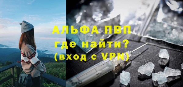 сатива Пересвет